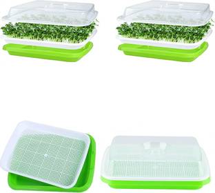 Toxen Seed Sprouting Trays Lid Germination Growing Mung Beans Wheat Grass-PACK OF 2 Grow Bag