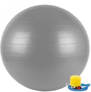 GJSHOP Anti-Burst Exercise Gym Ball with Pump, Anti-Slip Balance Stability Ball, Heavy Gym Ball
