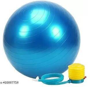 ARI Gym Ball
