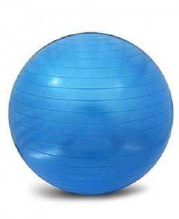IRIS Anti Burst Gym Ball