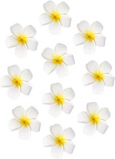PSYCHFLORE Women Girls Plumeria Flower Foam Juda Pin -White Flower Hair Clips-pmc9 Hair Clip
