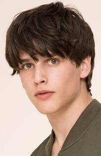 Hamsri Full Head Short Wig For Men  Extension Hair Extension