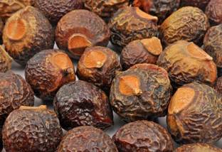 JKB TRADERS REETHA - RITHA - SOAP NUT - SOAPNUT - ACACIA CONCINNA Seed