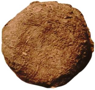 Sia Cow Dung Cake Kanda/kande/Gobar Upala for Pujan and Hawan (3 Inches 10 pics.)
