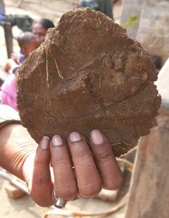 VILLAGE COW DUNG DESI GOBAR -100% Pure & Orginal Cow Dung Cake
