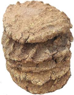 rakhibazaar Gir Cow Dung ( Channa Gobar / Upla ) ( Pack Of 11 )