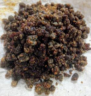 dorvik collections Pure Guggal / Gugula / Guggul / Gugal Dhoop Commiphora for Havan Pooja Prayer - 500 GMS