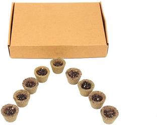 WQT Gugal Dhuni Havan Cup 12pcs ( Pack of 1)for Daily Puja Havan/Dhuni Charcoal Free