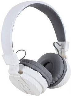 Zebur Headphone with FM/SD Card Slot with Music and Calling Control Bluetooth