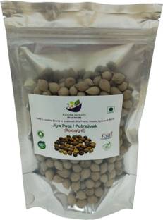 KUNJIKA JADIBOOTI Jeevak Beej - Jiya Pota Seeds - Putra Jivak Beej - Putra Jeevak Beej