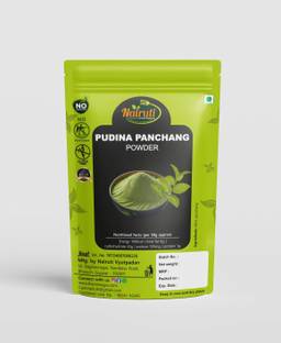 Nairuti Vyutpadan Mint Powder 100 g | Best For Cooking, Chutney, Raita, Smoothies & Detox