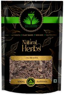 SAI HERBS Jal Brahmi - Neer Brahmi - Saraswati Leaves - Pure & Natural