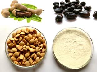 SS520 Tamarind Seeds Powder 100g. Roasted ShellLess Imali Bij Powder Tamarindus Indica