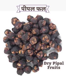 SS520 Dried Pipal Phal 100g. Peepal Fal Pipal Tree Fruits Ficus religiosa