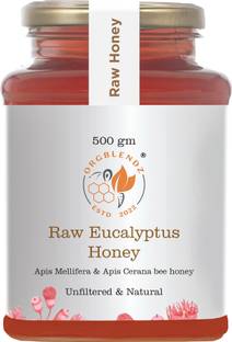 ORGBLENDZ Raw Organic Forest Eucalyptus Honey, Unprocessed,Non Pasteurized,Original