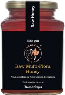 ORGBLENDZ Raw Organic Multiflora Honey
