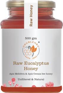 ORGBLENDZ Raw Organic Forest Eucalyptus Honey, Unprocessed,Non Pasteurized,Original