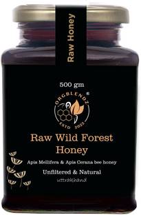 ORGBLENDZ Raw Organic Wild Forest Honey, Unprocessed, Unheated, Non Pasteurized, Pure