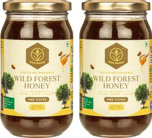 Shiva Organic Wild Forest Honey - NPOP Organic Certified Natural Pure No Added Sugar