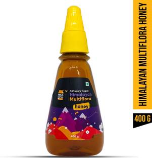 NectWorks 100% Natural & Pure Himalayan Multiflora Honey Squeezy Pack 400gms