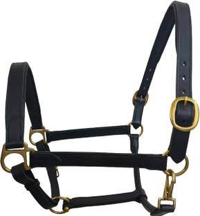 KTE Halter Horse Bridle
