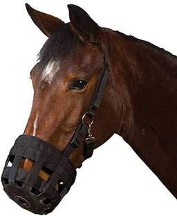 BLESSING PET PRODUCT Bitless Horse Bridle