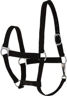 yogi art Halter Horse Bridle