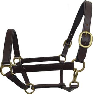 KTE Halter Horse Bridle