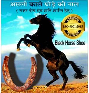 BRAJBazar Horse Shoe Ring