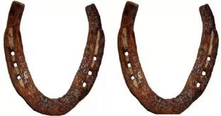 BRAJBazar Horse Shoe Ring