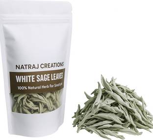 NatrajCreations Best pure Organic Indian Green Sage 200 grams herb leaves (loose) Aromatic, Indian White sage, Californian white sage, Salvia apiana