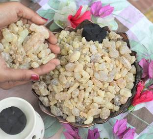 VINTAGE VEDA Frankincense Resin 1 Pound