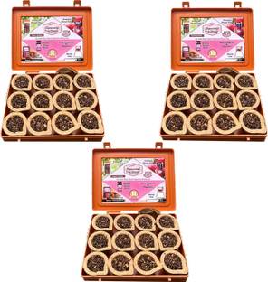 Signamio Dashang Cup with Burner Plate for pooja Home,Dhoop Items,Dhoop sambrani- Pack 3 MULTI FRAGRANCE
