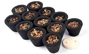 Shacollection Google_Dhoop_2023 Jasmine