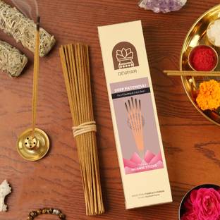 DEVAYAM Premium Deep Patchouli, 60 Incense Sticks Patchouli