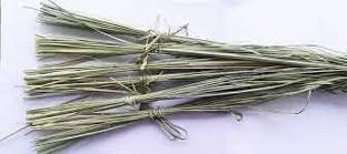 PADMAVATHI ENTERPRISES Natural Darbha Grass Kusha Bundle Pack 12 Inch Long, 10 Bundles For Religious Rituals