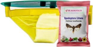 S K Agrotech Pheromone Lure Tobacco Caterpillar (Spodoptera litura) & Funnel Trap