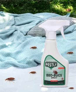Pestly B E D - B U G S Spray