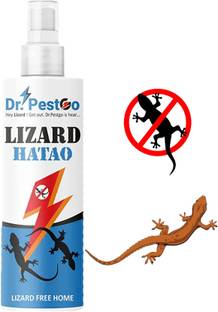 Dr.PestGo Herbal Lizard Repellent Spray Chemical-Free Lizard KILLER Lizard repellent spray