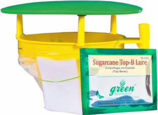 Green Revolution Pheromone Trap for Sugarcane Top Borer (Scirpophaga excerptalis) (Trap + Lure)