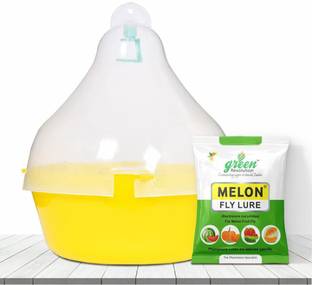 Green Revolution Fruit Fly Pheromone Trap for Vegetable Crops (Bactrocera Cucurbitae). Pack of 1.