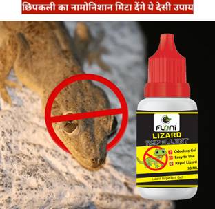 floni Lizard Hatao ultimate Lizard killer
