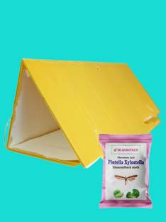 S K Agrotech Plutella Xylostella Daimond Black Moth pheromone lure Delta insect Trap set 10x1 Manure