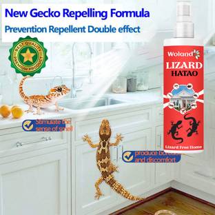 INDO CHALLENGE Lizard Hatao Guaranteed Lizard kill effect easy to use