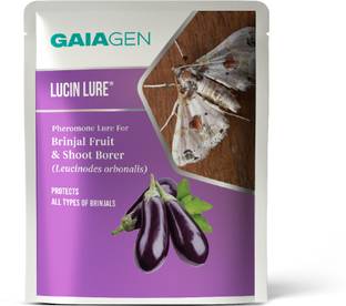 GAIAGEN Lucin Lure | Pheromone Lure - Brinjal Fruit & Shoot Borer(Leucinodes Orbonalis)