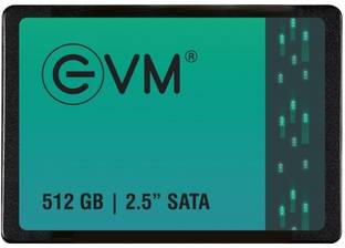 EVM SATA 512 GB All in One PC's, Desktop, Laptop GREEN AND BLACK SATA III Internal Solid State Drive (SSD) (256GB 2.5" SATA SSD)