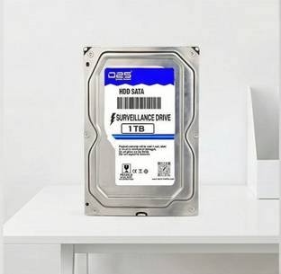 D25 Pro Series 1TB Surveillance Hard Disk for All CCTV Camera DVR 1 TB Surveillance Systems Silver SAT...