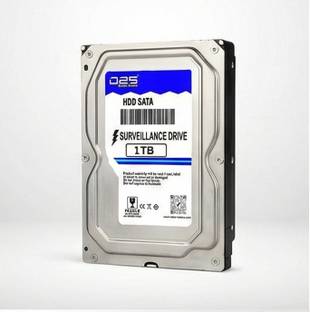 D25 Max Series 1TB Surveillance Hard Disk for All CCTV Camera DVR 1 TB Surveillance Systems Silver SAT...