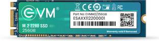 EVM M.2 (2280) SATA 256 GB All in One PC's, Desktop, Laptop Black M.2 Internal Solid State Drive (SSD) (EVMM2/256GB)