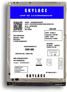 SKYLACE Internal Hard Drive 320 GB Laptop, Desktop Multicolor SATA Internal Hard Disk Drive (HDD) (6 G...
